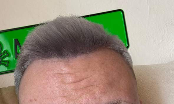 Bild zum Beitrag