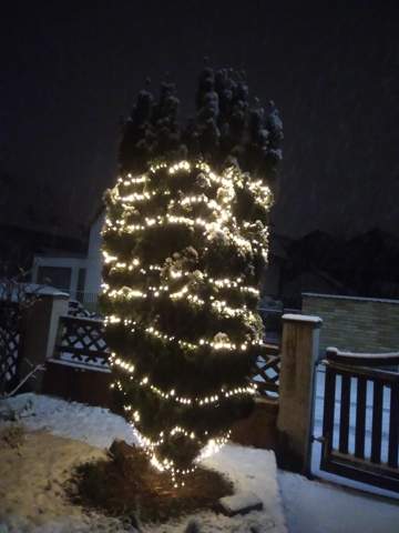 Wie findet ihr meinen zum ersten Mal schneebedeckten Weihnachtsbaum?