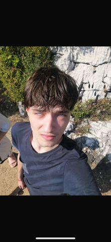 Bild zum Beitrag