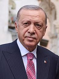 Wie findet ihr Recep Tayyip Erdoğan?