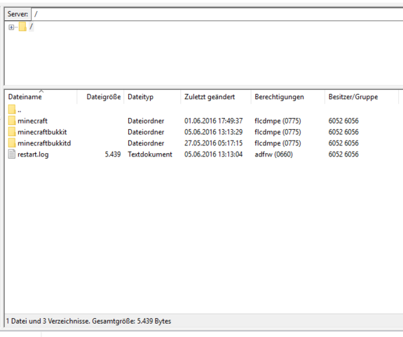 Server Datei auf FileZilla - (Computer, Minecraft, Server)