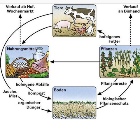 Wie funktioniert eigentlich der Kreislauf der ökologischen Landwirtschaft?