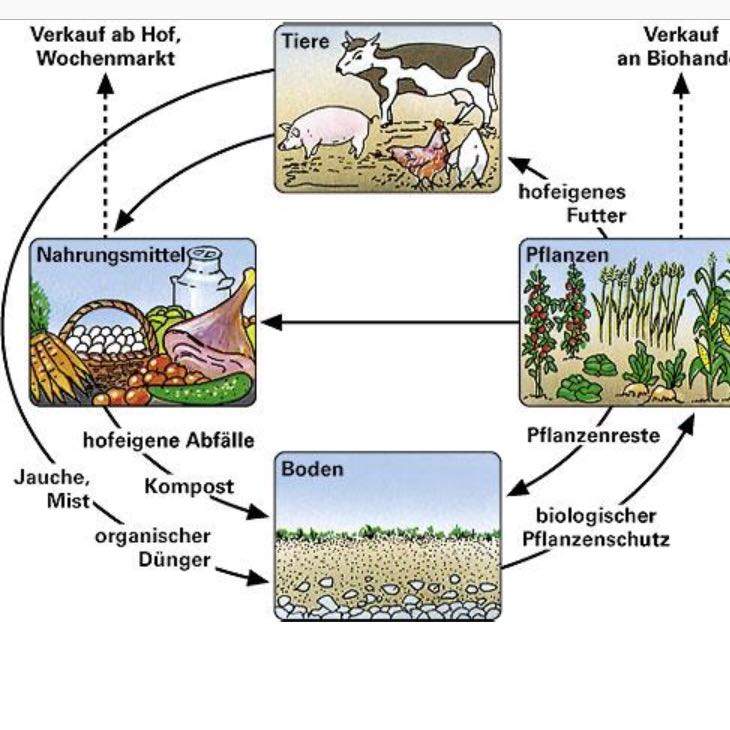 Wie funktioniert eigentlich der Kreislauf der ökologischen Wie funktioniert eigentlich der Kreislauf der ökologischen