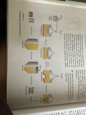 Wie funktioniert gärung (schaubild)? (Chemie, Alkohol)