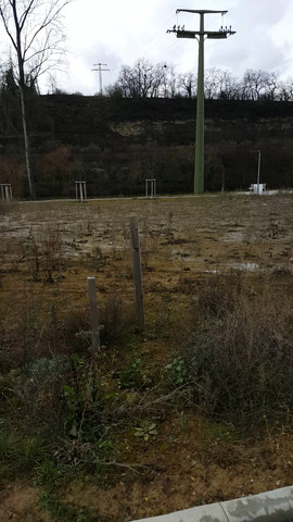 Wie ehrlich sollte man sein Wie ehrlich sollte man sein