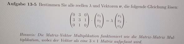 Wie gehe ich am besten bei diesem Beispiel vor (Matrix/Vektor)?