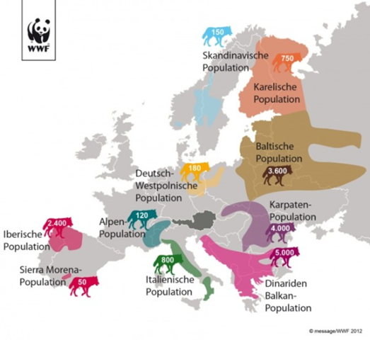 Wie Gehen Lander Wie Italien Spanien Rumanien Baltikum Finnland Russland Frankreich Polen Oder Schweden Mit Schaden Bzw Gefahren Durch Wolfe Um Politik Wolf Naturschutz