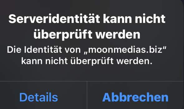 Bild zum Beitrag