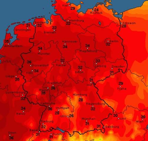 Bild zum Beitrag