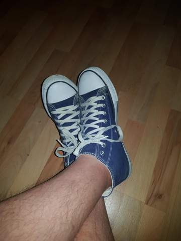 Bild zum Beitrag