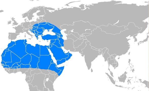 blau - (Geschichte, Krieg, Geografie)