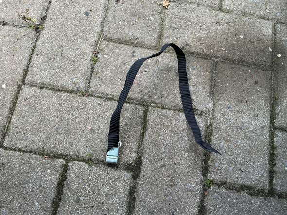 Bild zum Beitrag