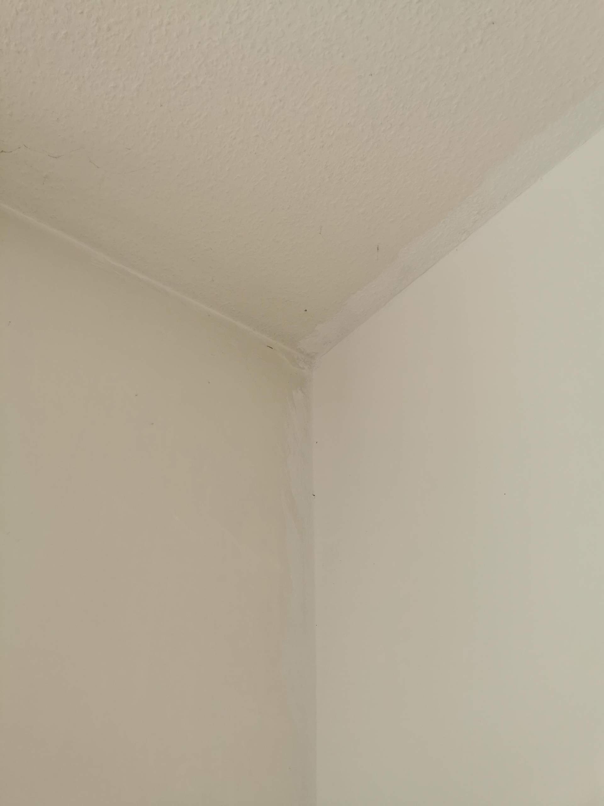 Wie gut bei Auszug streichen? (Wohnung, Umzug, Wandfarbe)