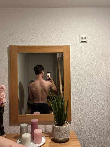Bild zum Beitrag