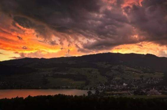 Bild zum Beitrag