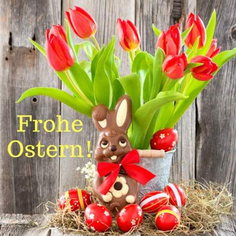Bild zum Beitrag