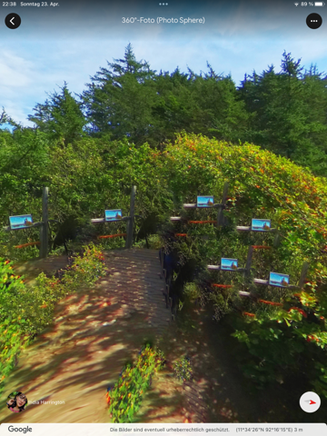 Wie hat man Google Earth Aufnahmen von North Sentinel Island gemacht?