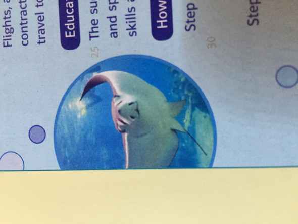 Wie heißt dieser Fisch? - (Biologie, Fische, Naturwissenschaft)