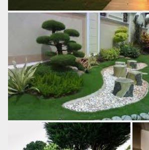 Wie heißen die Bäume, die so runde Kugeln haben? (Garten, Natur, Blumen)