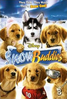 wie heissen die disney buddies in echt film hund welpen