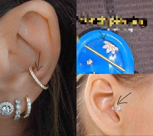Wie heißen die Ohr Piercings?