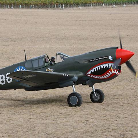 Ich meine nicht die Kokarde sondern die Zähne - (Flugzeug, Allgemeinwissen, Modell)