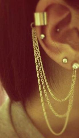 Diese hier - (Piercing, Ohr, Ohrringe)