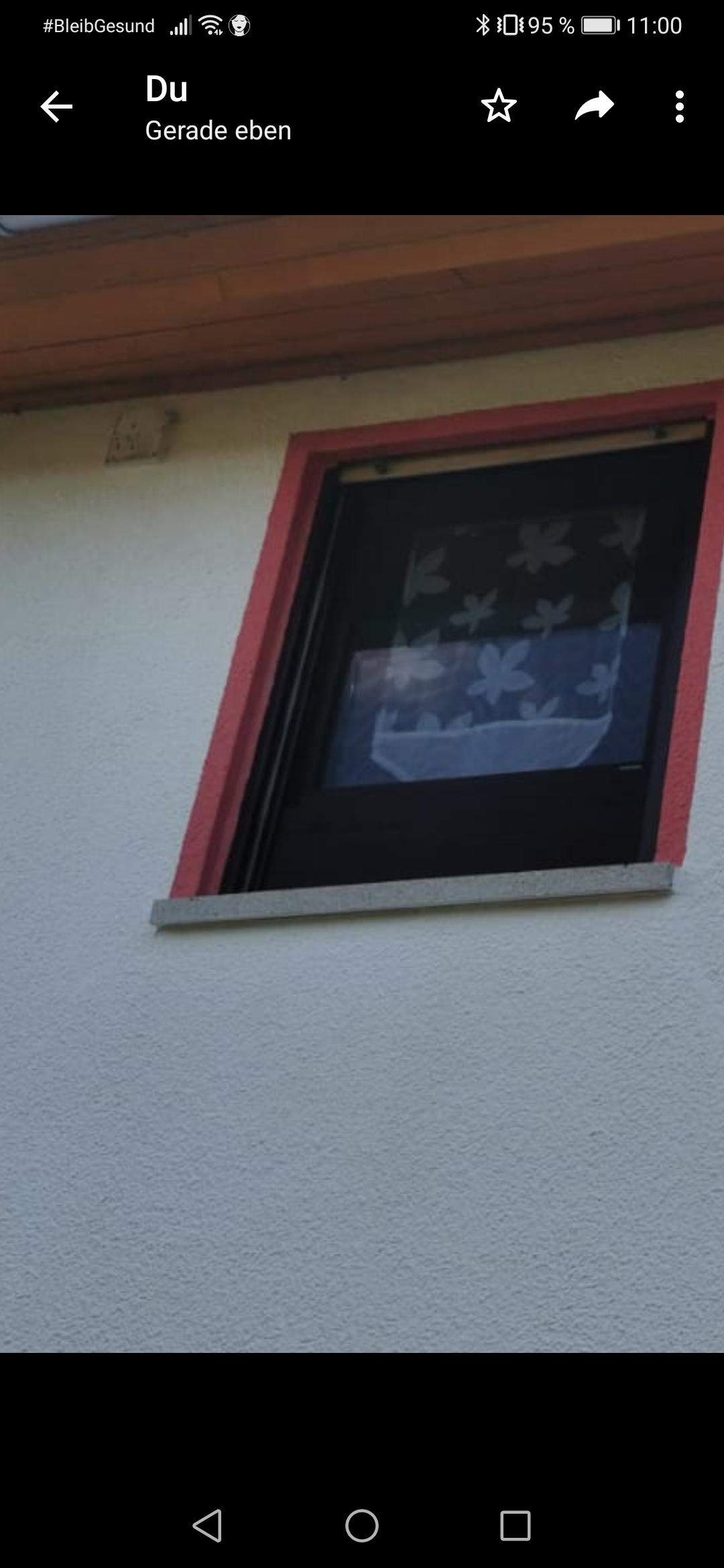 Wie heißen Fenster die unten zu (mit Holz verkleidet) sind