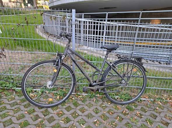 Bild zum Beitrag