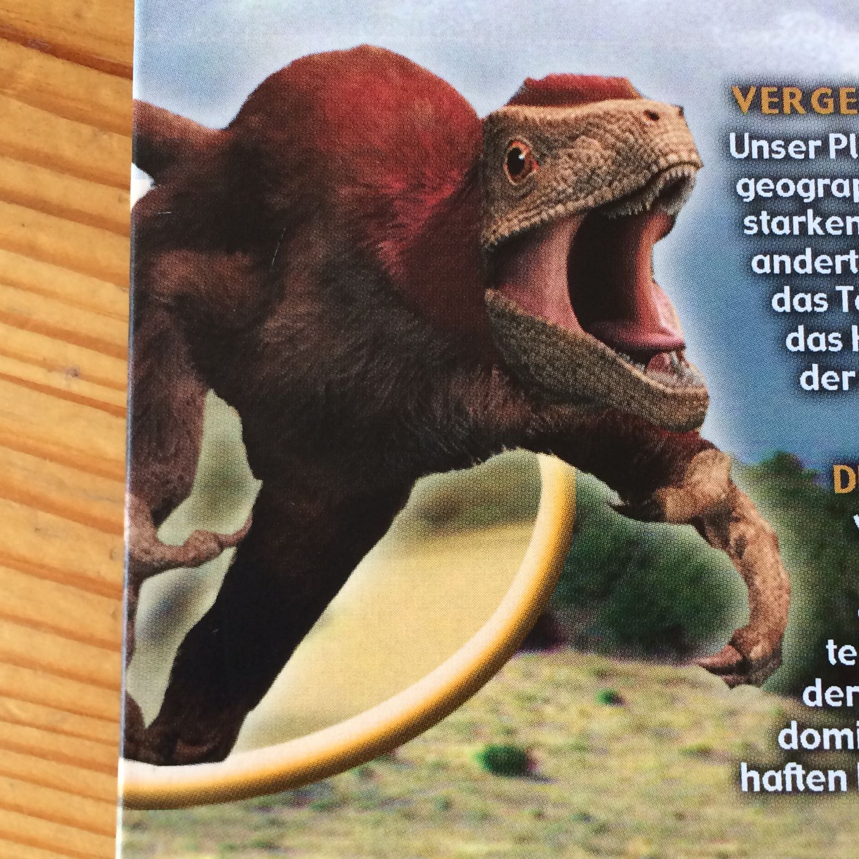 Wie hei\u00dft der Dinosaurier Film\/die Dinosaurier Doku \u00fcber 2 Raptoren? Dokumentation Wie hei\u00dft der Dinosaurier Film\/die Dinosaurier Doku \u00fcber 2 Raptoren? Dokumentation