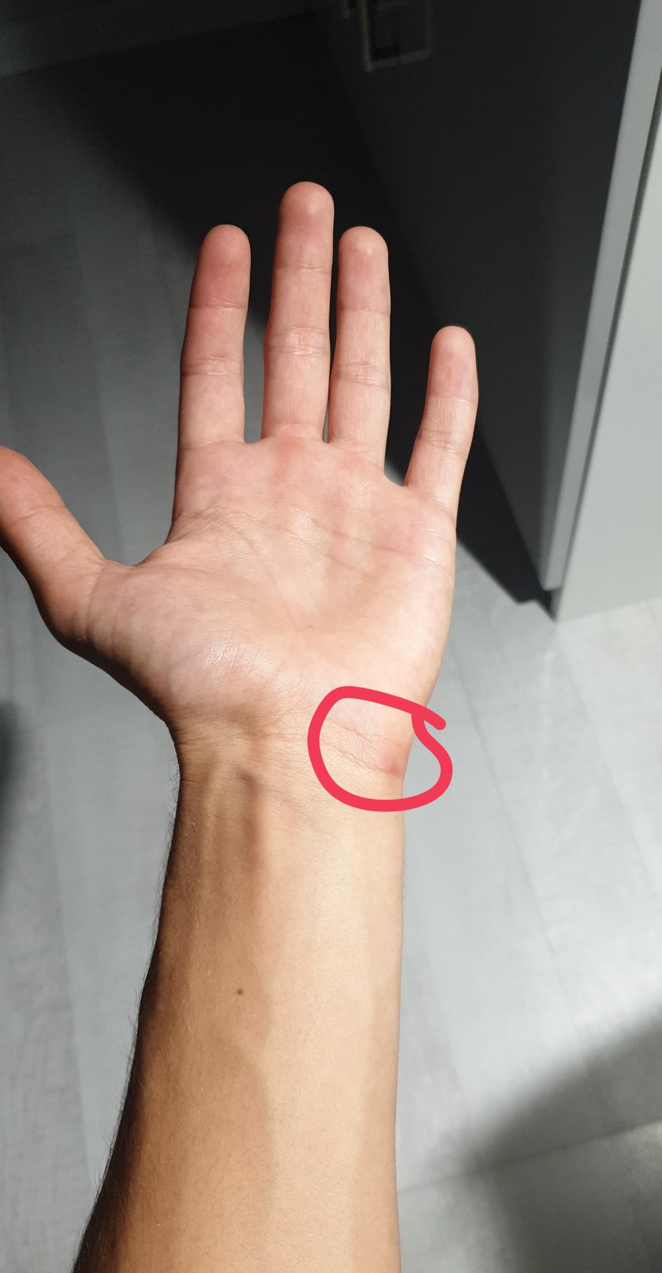 Wie heißt der Knochen? (Gesundheit und Medizin)