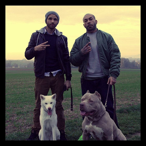 Wie heißt die Hunde rasse von Azad seinem Hund ? (Rapper)