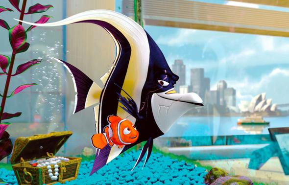Fisch von "Findet Nemo" - (Fische, Aquarium)