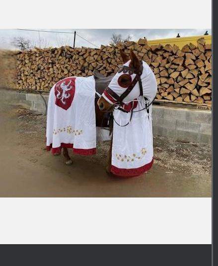 Wie heißt diese mittelalterliche Pferde Kleidung? (Reiten, Mittelalter, Pferdehaltung)