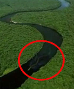 Wie heißt diese Schlange? (Referat, Schlangen)