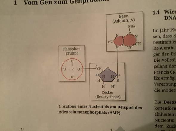 Bild zum Beitrag