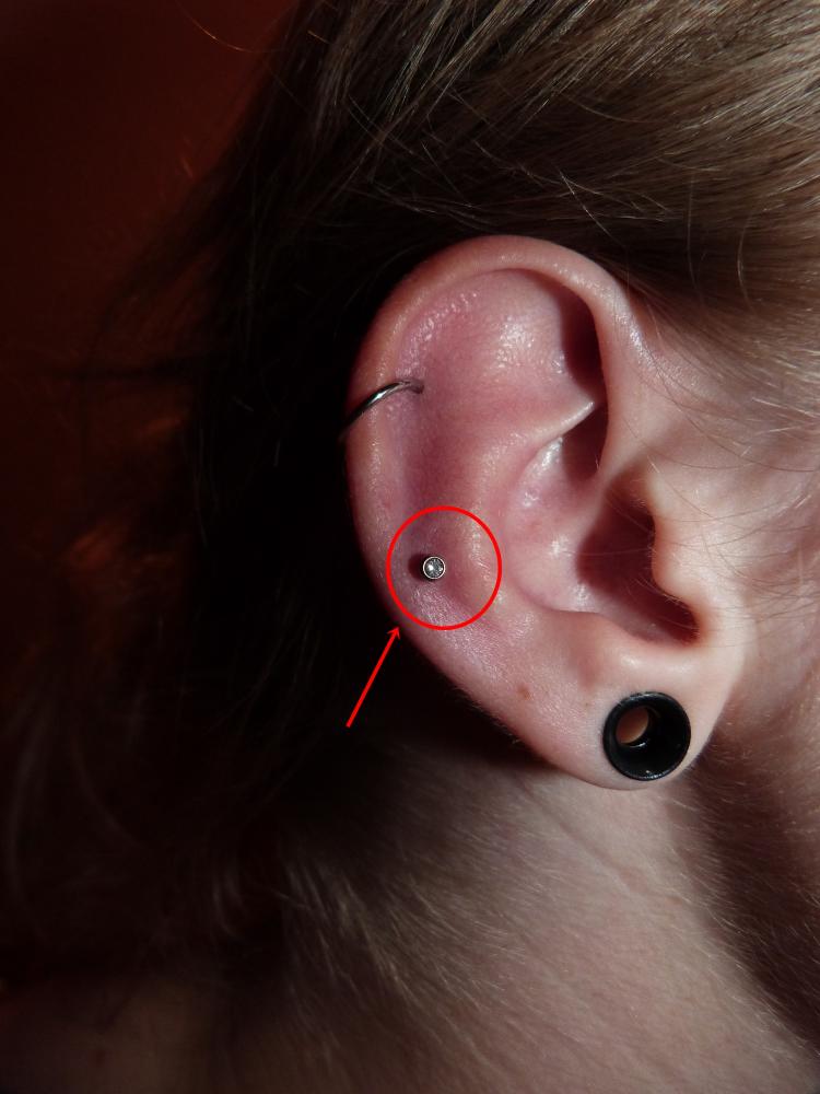 Silvester 2020: die bz wünscht allen regionauten einen guten rutsch ins Wie heißt dieses Ohr-Piercing? (Schmuck)