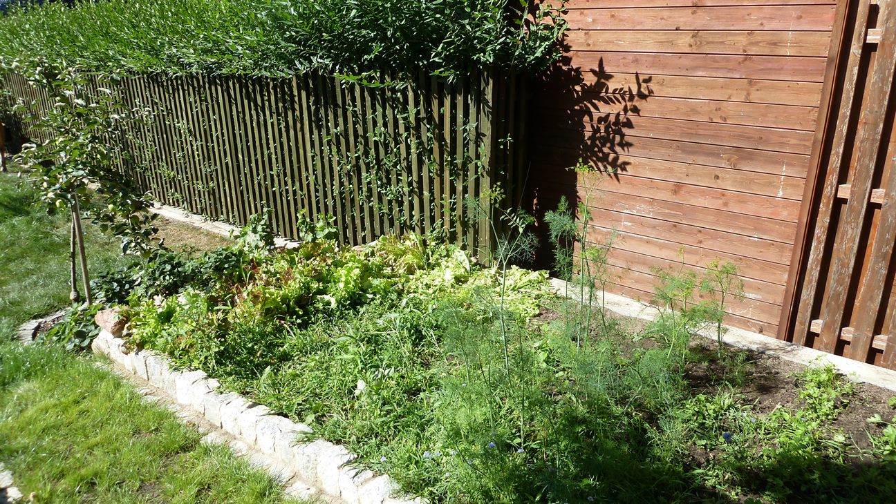 Wie nah darf man an die grundstücksgrenze bauen Wie nah darf man an die grundstücksgrenze bauen