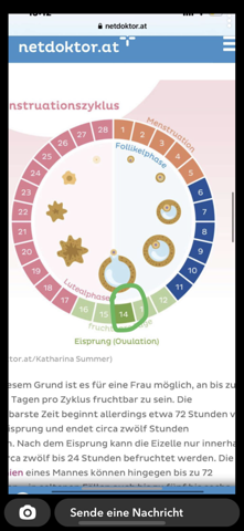 Wie Hoch Ist Die Wahrscheinlichkeit Schwanger Zu Werden Sex Schwangerschaft Wie Hoch Ist Die Wahrscheinlichkeit Schwanger Zu Werden Sex Schwangerschaft