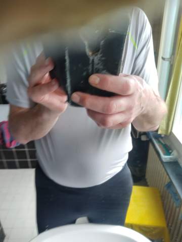 Bild zum Beitrag