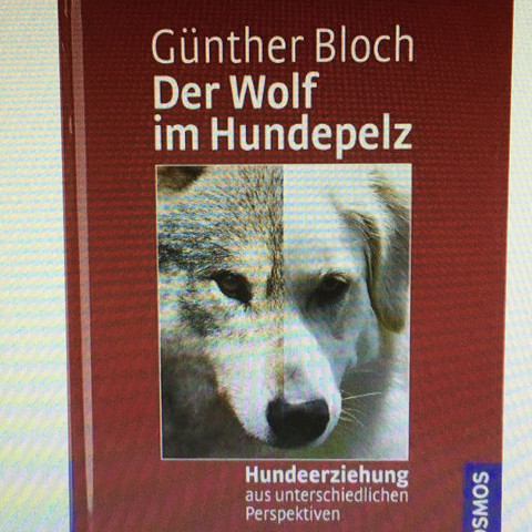 Das ist das Buch - (Buch, Hundeerziehung)