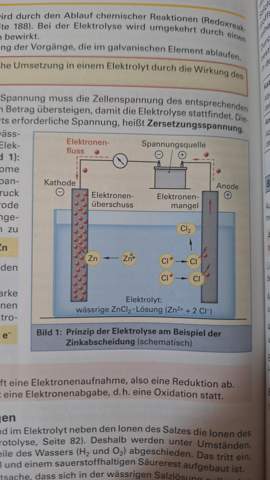 Bild zum Beitrag
