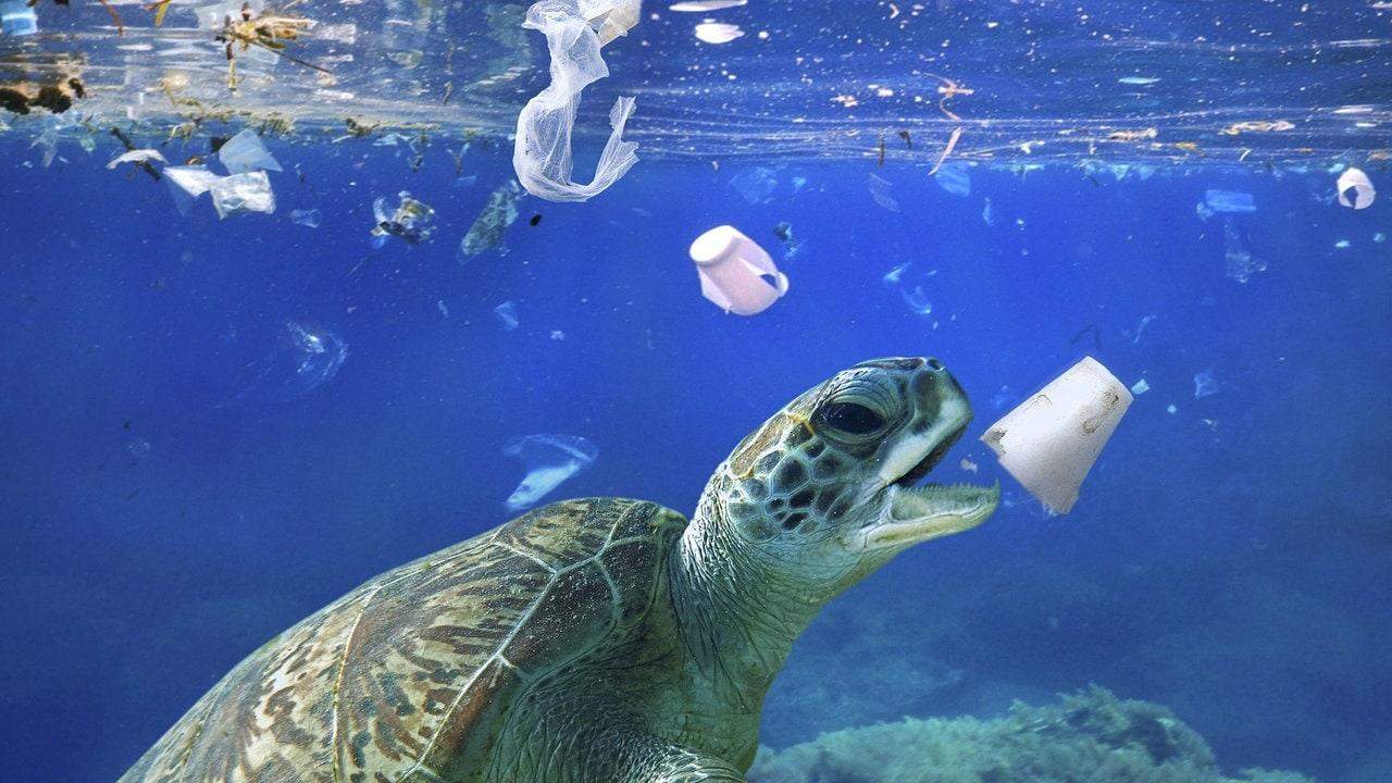 Wie ist eure Perspektive in die Zukunft der Erde? (Klimawandel, Umweltschutz, Umweltverschmutzung) Wie ist eure Perspektive in die Zukunft der Erde? (Klimawandel, Umweltschutz, Umweltverschmutzung)