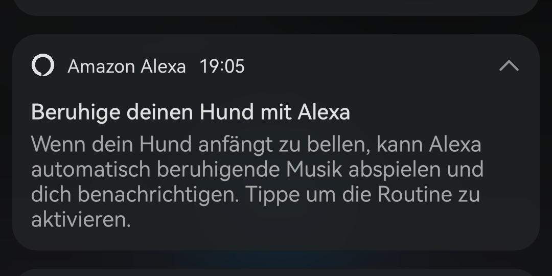 Wie kann Alexa wissen das ich ein Hund habe? (Technik, Elektronik