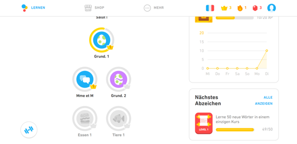 Wie kann ich auf Duolingo Freunde finden?