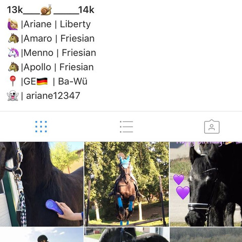 Da sind sie Untereinander  - (Instagram, Wort, untereinander)