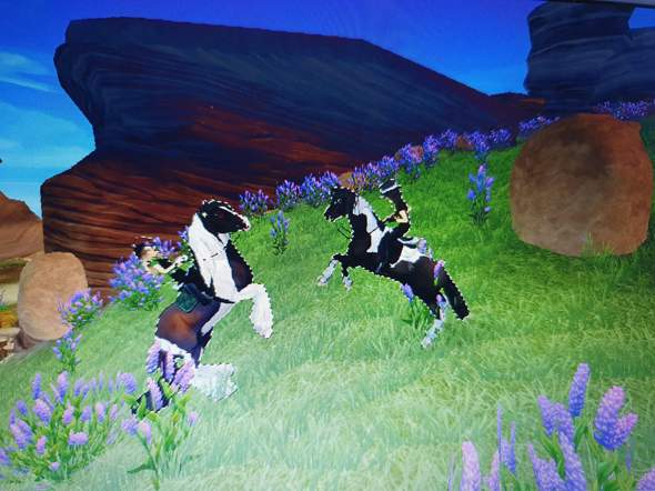 Wie Kann Ich Das Bei Photoshop Elements Ausschneiden Und In Einer Neuen Ebene Einfugen Bildbearbeitung