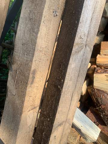 Wie kann ich das Holz schützen?