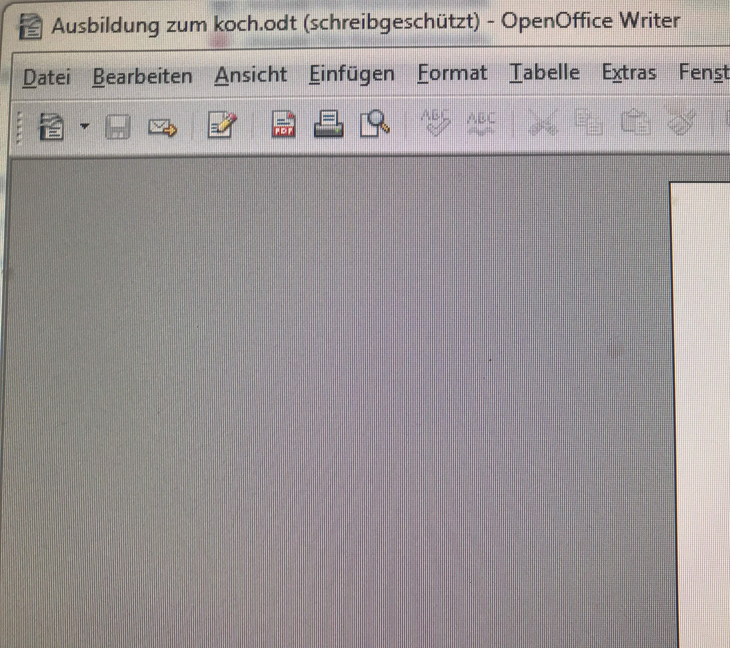 OpenOffice Writer- Schreibschutz aufheben? (Computer, Technik, PC)