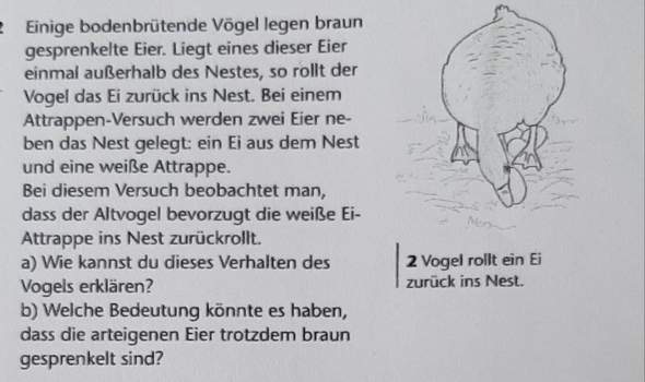 - (Tiere, Biologie, Verhaltensforschung)